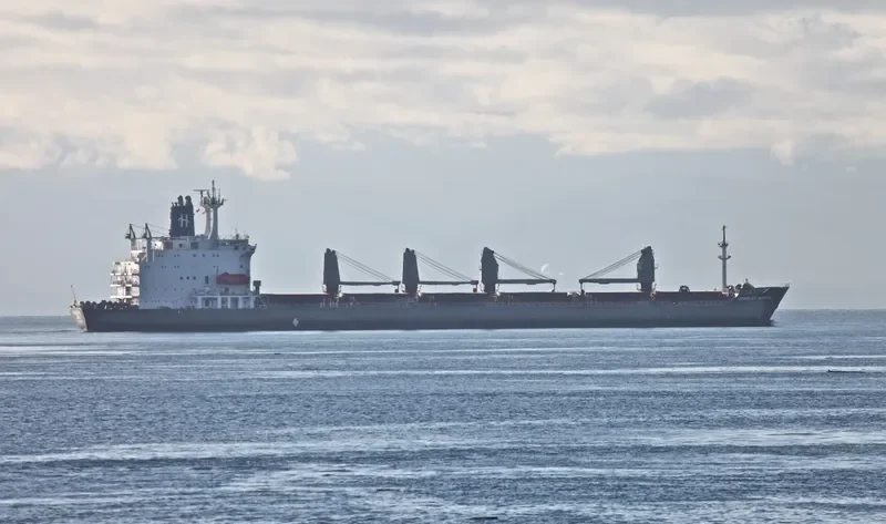 CHARLES MARTIN Bulk Carrier IMO 8005006 photo 5