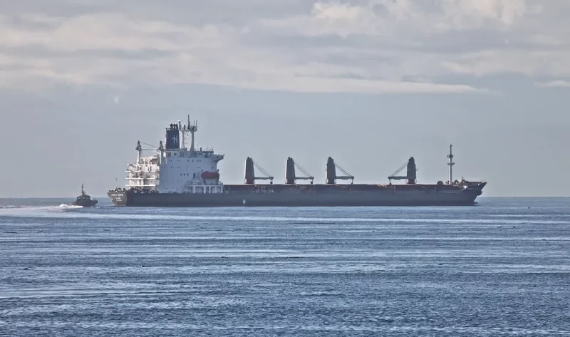 CHARLES MARTIN Bulk Carrier IMO 8005006 photo 6