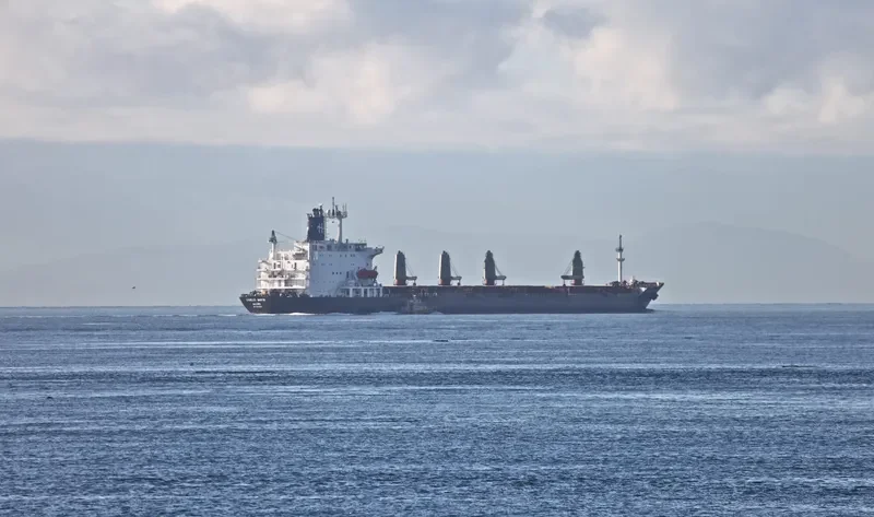 CHARLES MARTIN Bulk Carrier IMO 8005006 photo 7