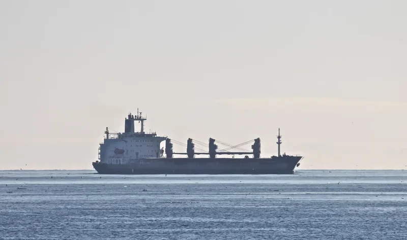 CHARLES MARTIN Bulk Carrier IMO 8005006 photo 8
