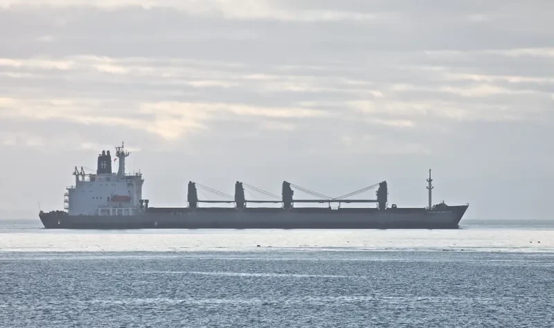 CHARLES MARTIN Bulk Carrier IMO 8005006 photo 9