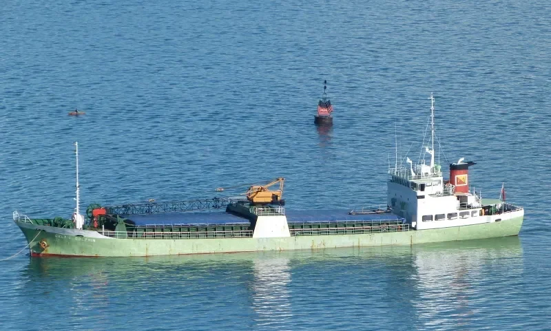 CELTIC DOLPHIN General Cargo IMO 8005147