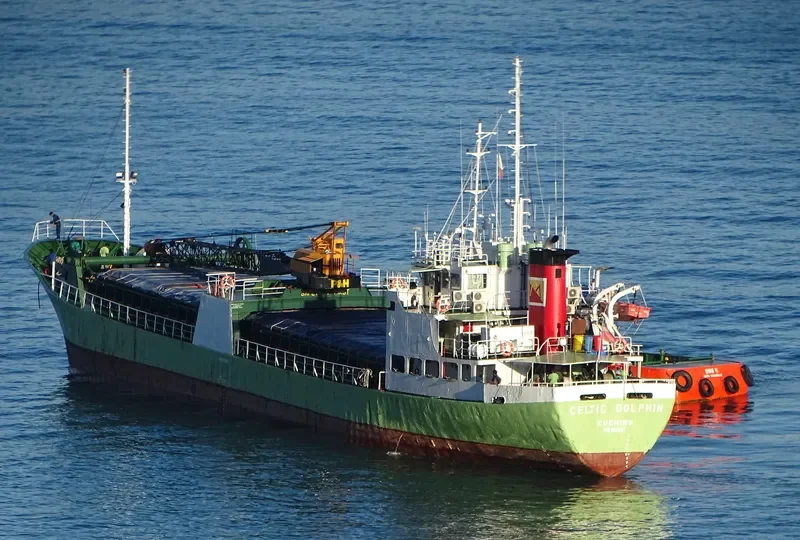 CELTIC DOLPHIN General Cargo IMO 8005147 photo 2