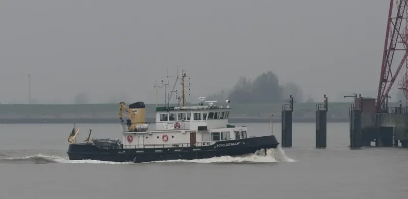 SCHELDEWACHT II General Cargo IMO 8006153 photo 9