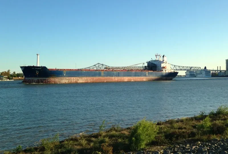 H A SKLENAR Bulk Carrier IMO 8007793 photo 7