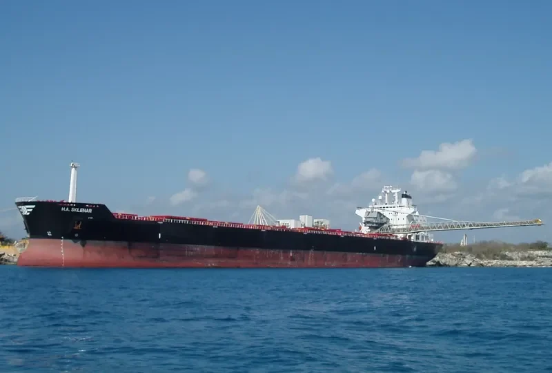 H A SKLENAR Bulk Carrier IMO 8007793 photo 8