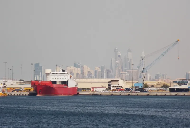 JABAL ALI 3 Ro-Ro IMO 8009014 photo 2