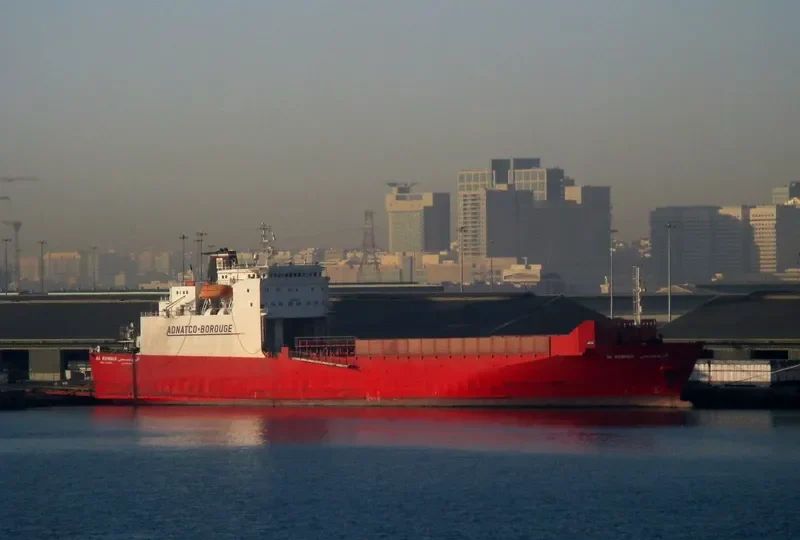 JABAL ALI 3 Ro-Ro IMO 8009014 photo 3