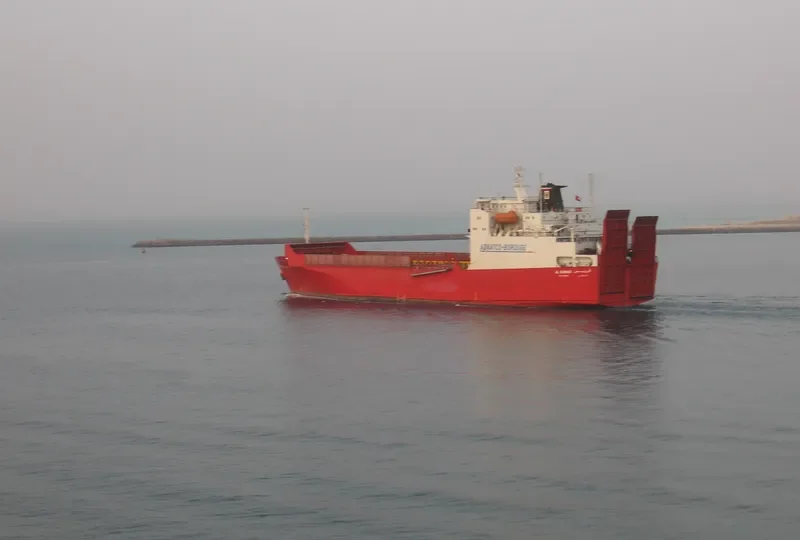 JABAL ALI 3 Ro-Ro IMO 8009014 photo 4