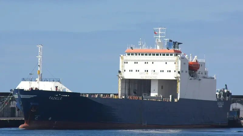 BANYAS 2 Ro-Ro IMO 8009040 photo 7