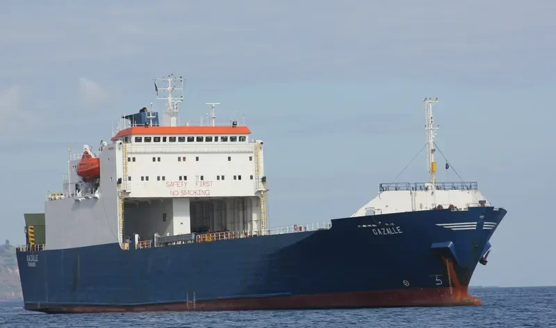 BANYAS 2 Ro-Ro IMO 8009040 photo 8