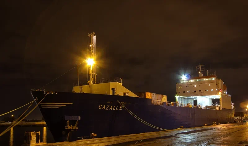 BANYAS 2 Ro-Ro IMO 8009040 photo 10