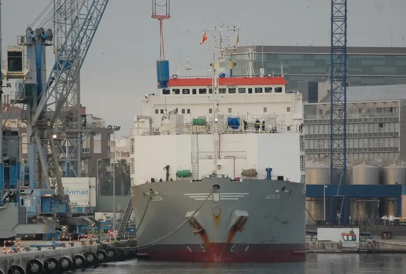 GULF LIVESTOCK 2 General Cargo IMO 8009076