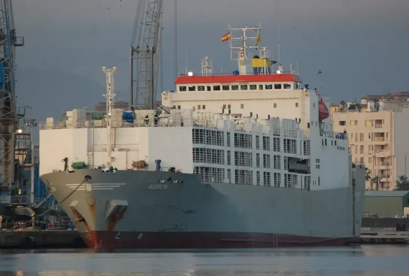 GULF LIVESTOCK 2 General Cargo IMO 8009076 photo 2