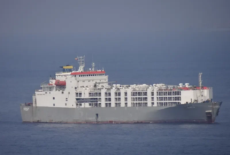 GULF LIVESTOCK 2 General Cargo IMO 8009076 photo 5