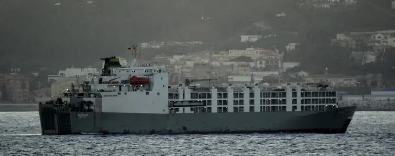 GULF LIVESTOCK 2 General Cargo IMO 8009076 photo 6