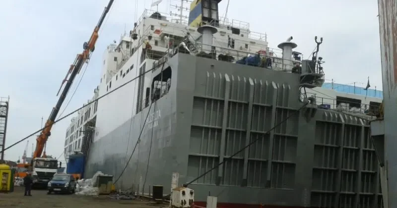 GULF LIVESTOCK 2 General Cargo IMO 8009076 photo 9