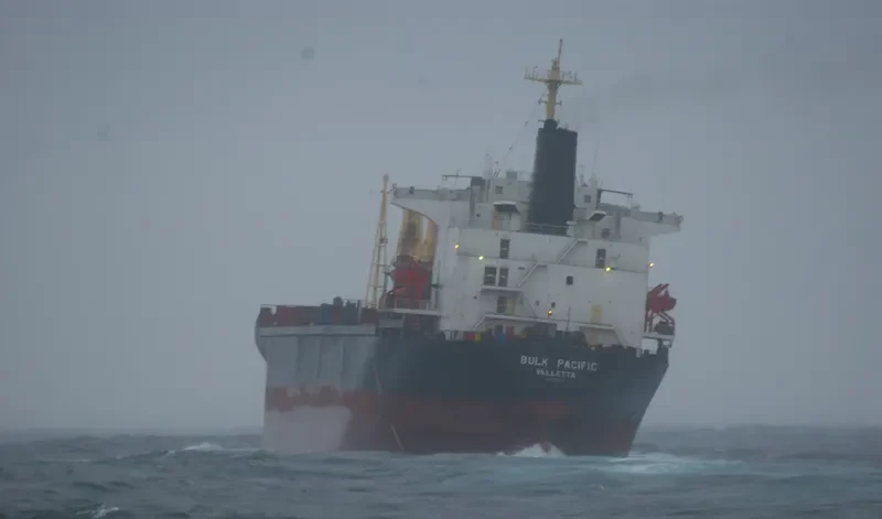 GULF PEARL II Bulk Carrier IMO 8009519 photo 2