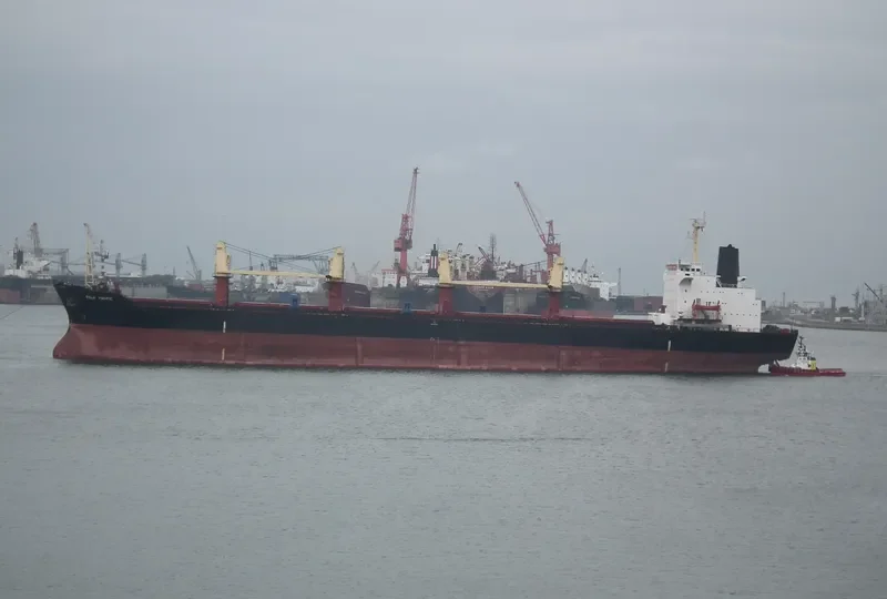 GULF PEARL II Bulk Carrier IMO 8009519 photo 3