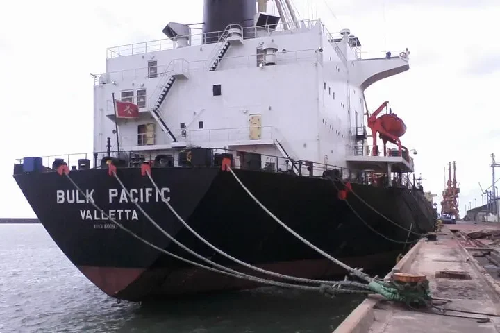 GULF PEARL II Bulk Carrier IMO 8009519 photo 4
