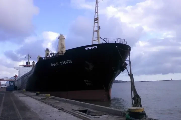 GULF PEARL II Bulk Carrier IMO 8009519 photo 5