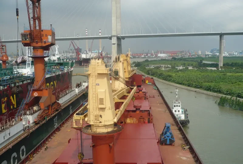 GULF PEARL II Bulk Carrier IMO 8009519 photo 6