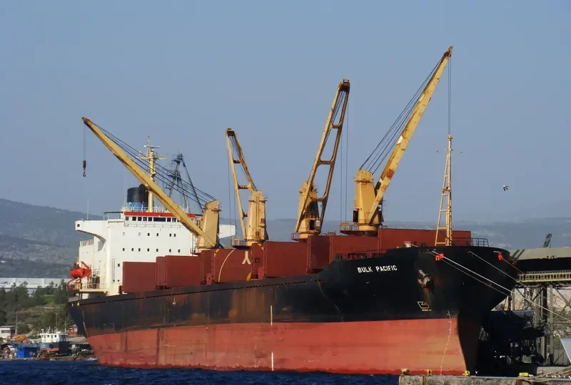 GULF PEARL II Bulk Carrier IMO 8009519 photo 8