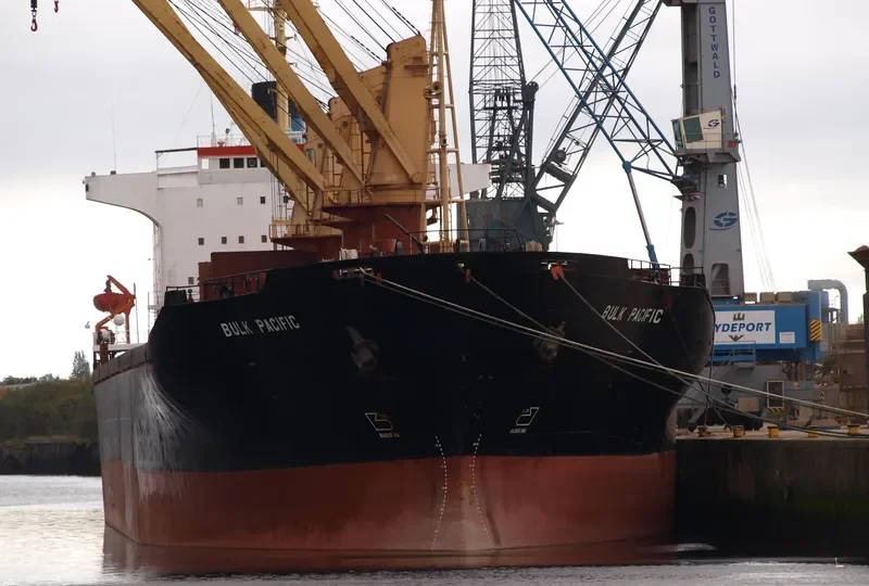 GULF PEARL II Bulk Carrier IMO 8009519 photo 9