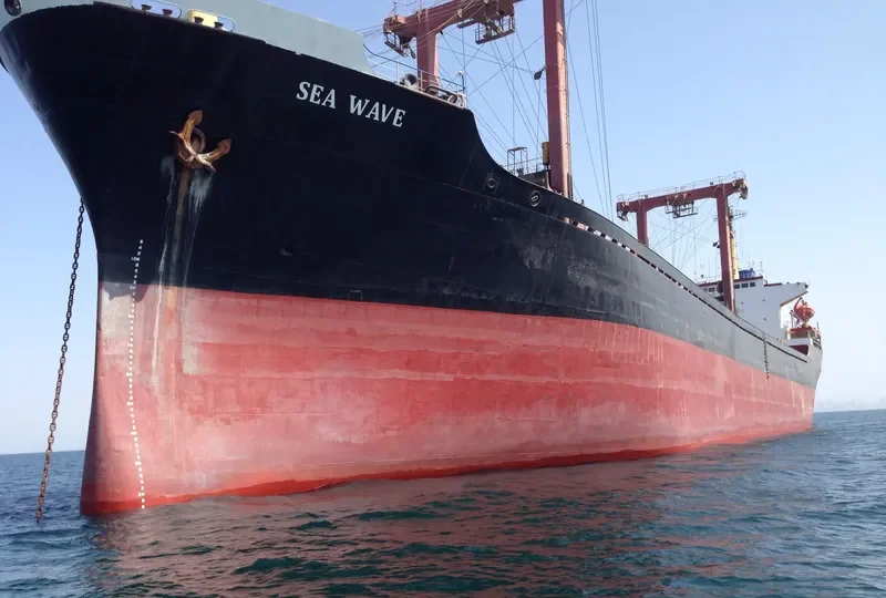 SEA WAVE General Cargo IMO 8009557