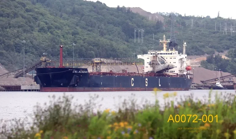 CSL ACADIAN Bulk Carrier IMO 8009571 photo 8
