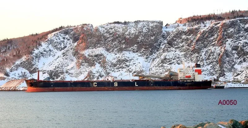 CSL ACADIAN Bulk Carrier IMO 8009571 photo 10