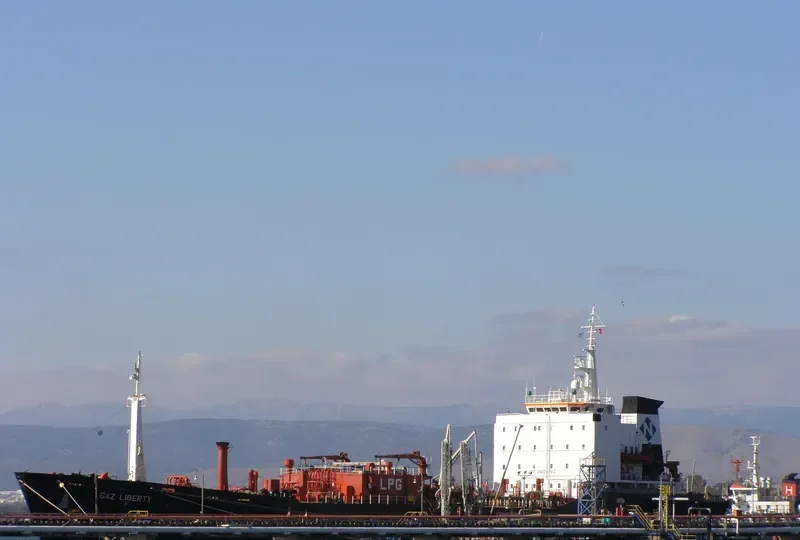 LIBERTY N General Cargo IMO 8010738 photo 2