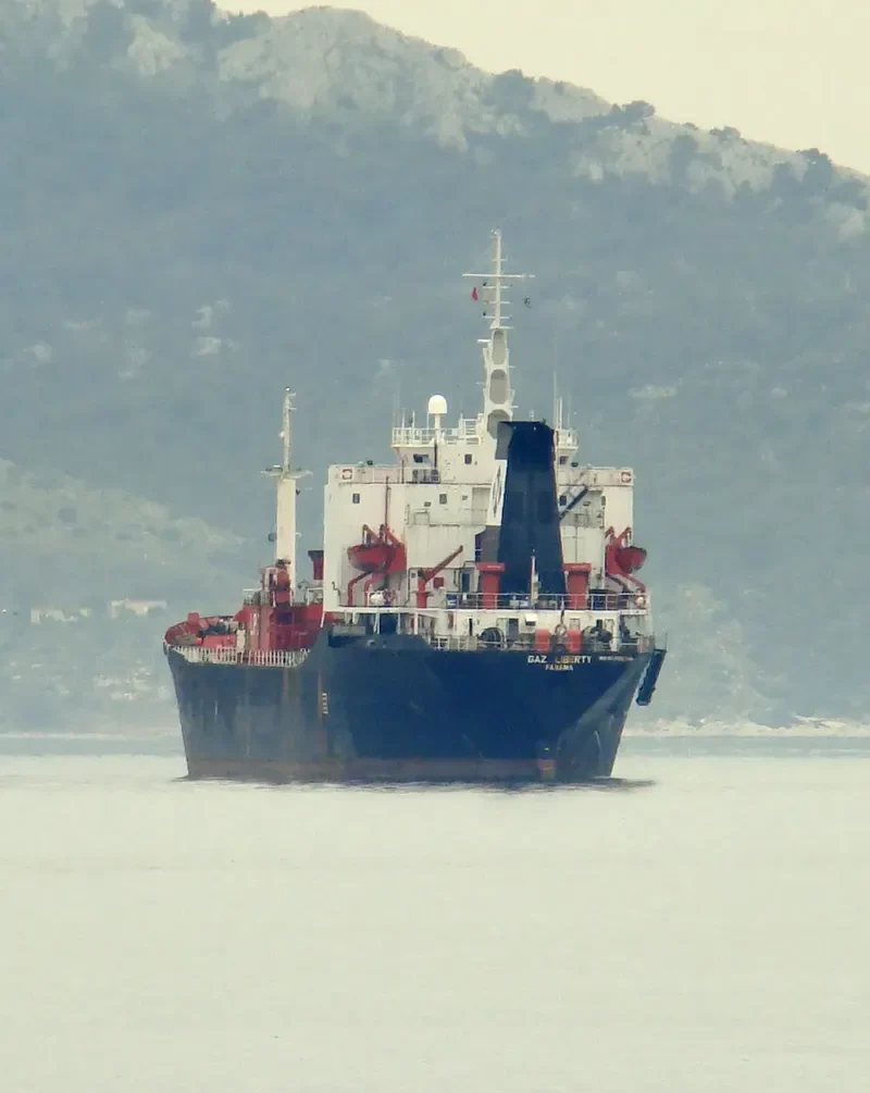 LIBERTY N General Cargo IMO 8010738 photo 8