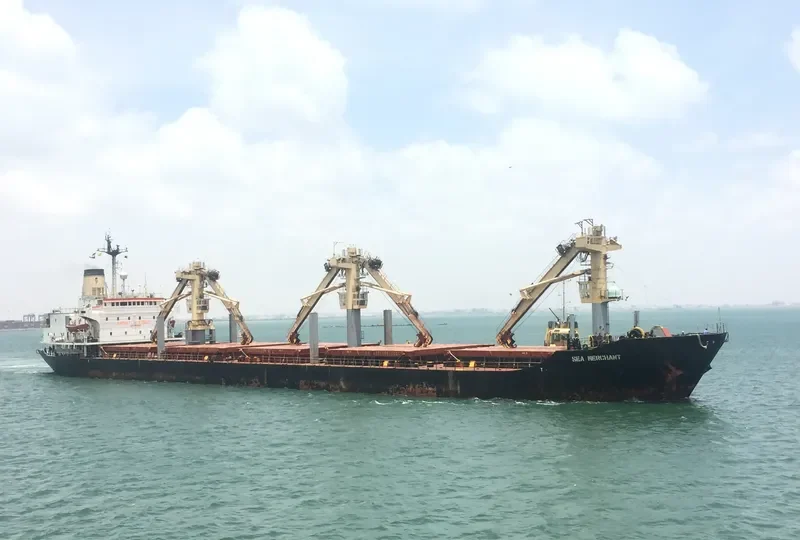 SEA MERCHANT General Cargo IMO 8010908