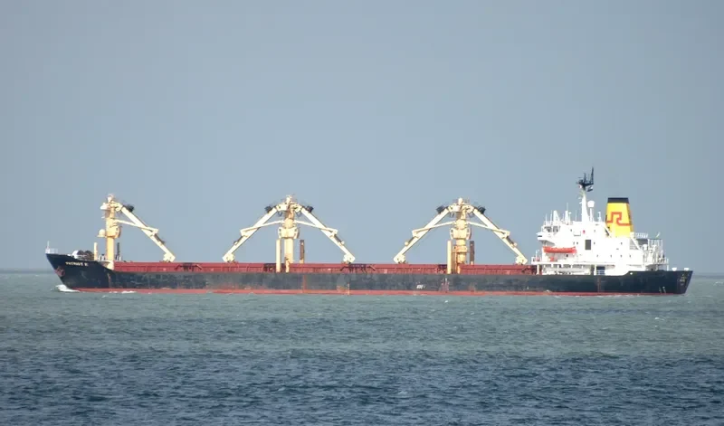 SEA MERCHANT General Cargo IMO 8010908 photo 5