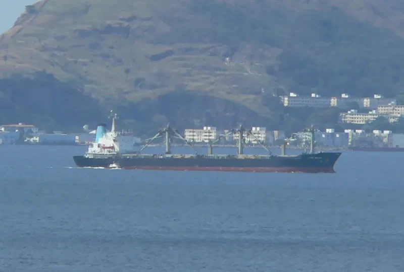 SEA MERCHANT General Cargo IMO 8010908 photo 10
