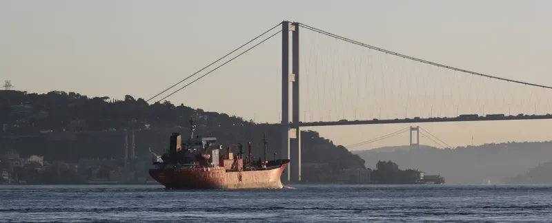 ALTERA 1 General Cargo IMO 8012114 photo 4