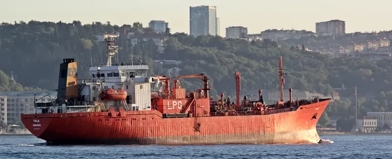 ALTERA 1 General Cargo IMO 8012114 photo 5