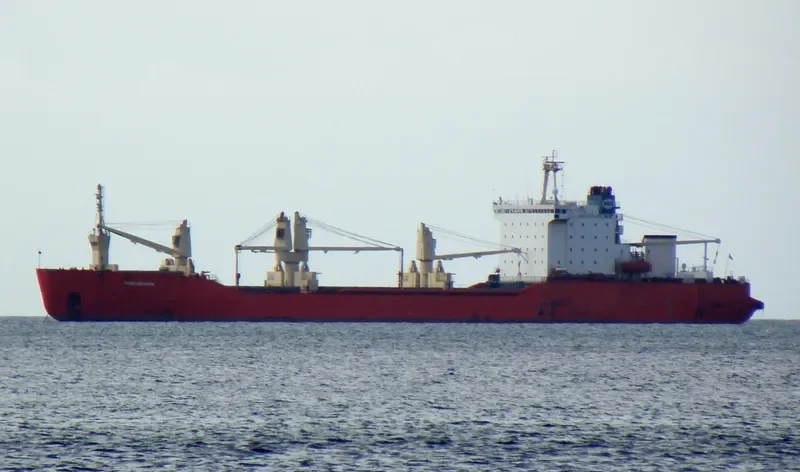 MONCHEGORSK Ro-Ro IMO 8013039 photo 4