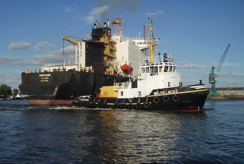 TIKEIBANK Ro-Ro IMO 8013089