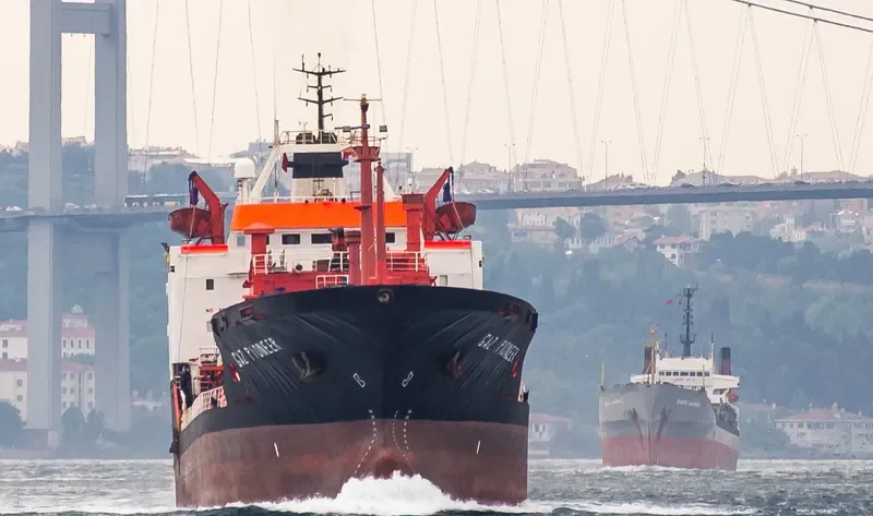GAZ PIONEER General Cargo IMO 8013223