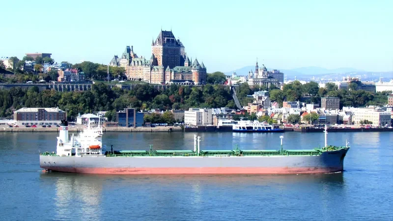 PATHFINDER II Bulk Carrier IMO 8013596