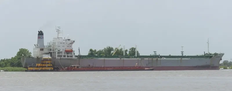 PATHFINDER II Bulk Carrier IMO 8013596 photo 2