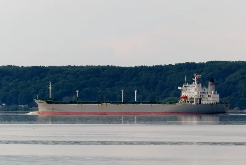 PATHFINDER II Bulk Carrier IMO 8013596 photo 4
