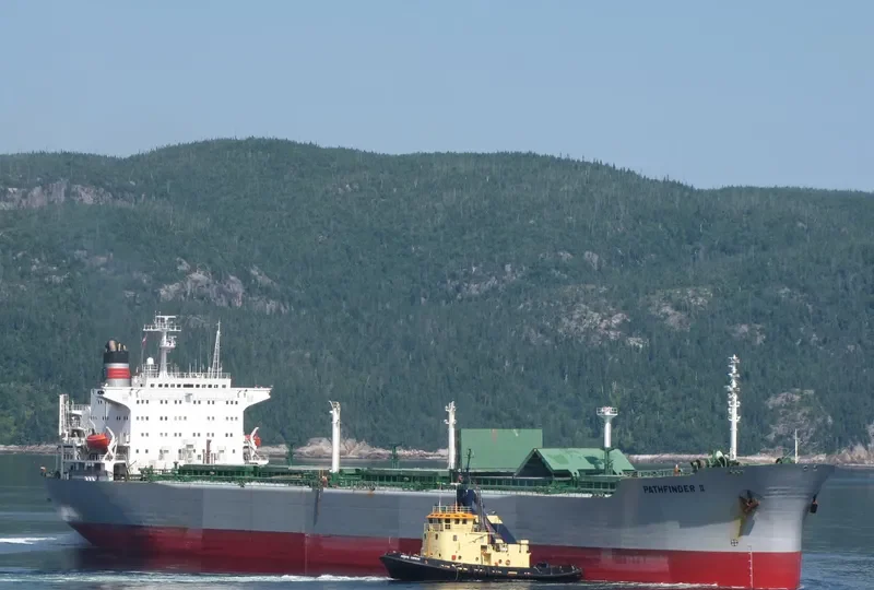 PATHFINDER II Bulk Carrier IMO 8013596 photo 7