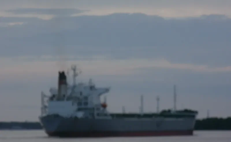 PROSPECTOR II Bulk Carrier IMO 8013601