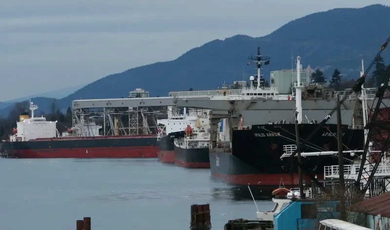 APALIS ARROW General Cargo IMO 8013869 photo 3