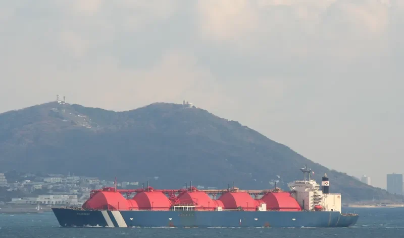 NORTH ENERGY General Cargo IMO 8014409 photo 8