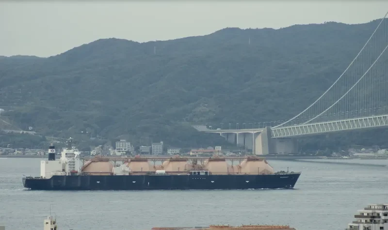 NORTH ENERGY General Cargo IMO 8014409 photo 9