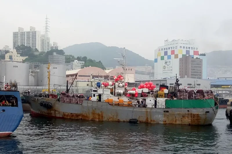 LORD General Cargo IMO 8015233